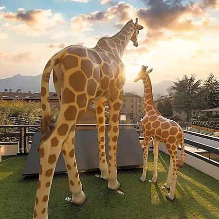 Hi - Wellness & Adults Only 4*