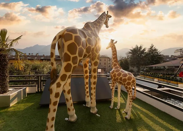 Hi - Wellness & Adults Only